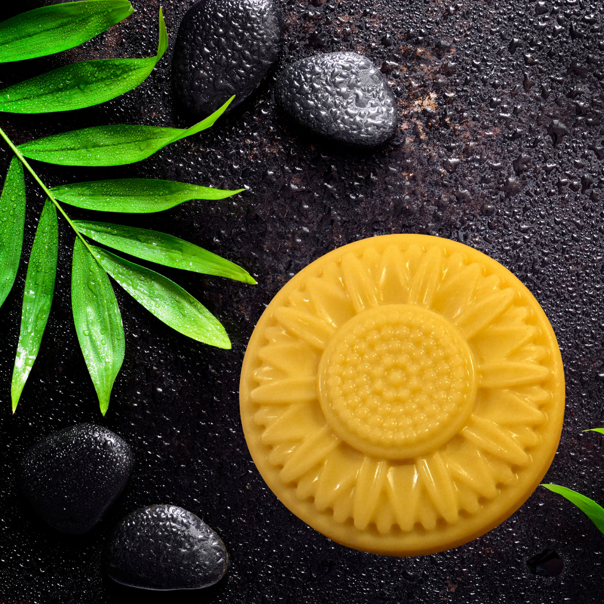 100% Organic Cocoa Butter Body Bar – Sunflower 2.5 Oz/ 73 G